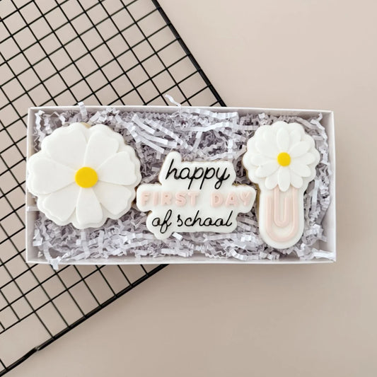 Set 04 - 10x20 Kutuya Uygun